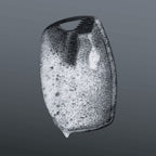 The Body Buffer - Image 4